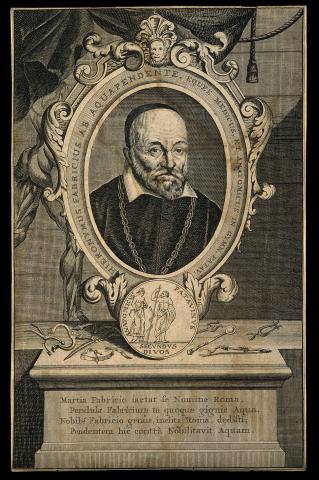Image for Fabricius ab Aquapendente (1537–1619)
