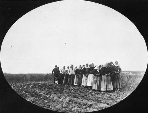 Image for Doukhobor Women