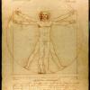 Image for Leonardo da Vinci, Vitruvian Man (c. 1492)