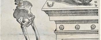 Image for An anatomical landmark: Vesalius, De humani corporis fabrica libri septem, 1543