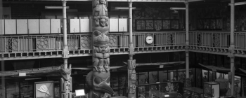 Image for Pitt Rivers Museum, looking south-east across the Court