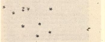 Image for Innumerable new stars