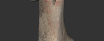 Image for Terracotta 'Persian rider' from Al Mina (3D)