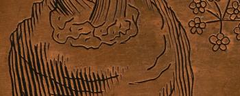 Image for Detail of carrot from plate of ‘UMBELLÆ semine villoso seu hispido donatae.’ from Morison’s Historia Plantarum Universalis Oxoniensis (1699: Sect. 9, Tab. 13), together with the face of the copper plate from which it was printed.