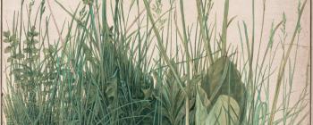 Image for Albrecht Durer, The Large Piece of Turf, 1503