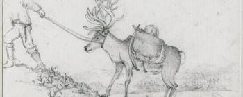 Image for Drawing of a saddled reindeer 1