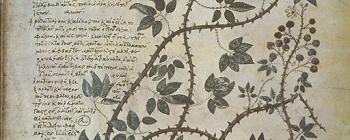 Image for Clone of Vienna Manuscript of Dioscorides