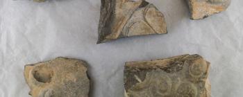 Image for Clone of Fragments