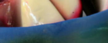 Image for Mask of a 'Covid Skull'