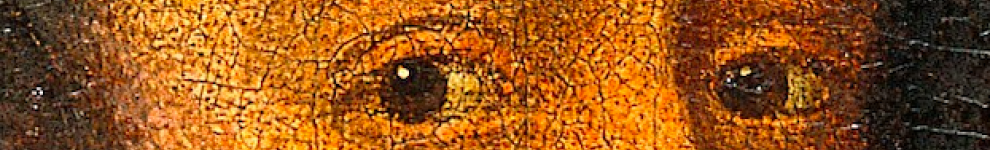 Image for Explore the Display Case